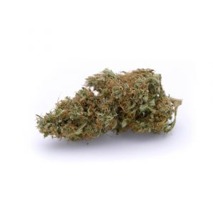 Lemongrass Cannabis Light - Bear Bush Selection