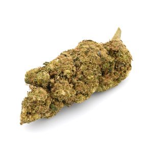 BearBush-Bear-Bush-Botanical-Collective-Canapa-Cannabis-CBD-Erba-Fumo-Grow-Head-Hemp-Legal-Light-Marjuana-Seed-Semi-Smoke-Vapor-Weed-Buds-Cime-Flowers-Fiori-Inflorescences-Infiorescenze-Cheese