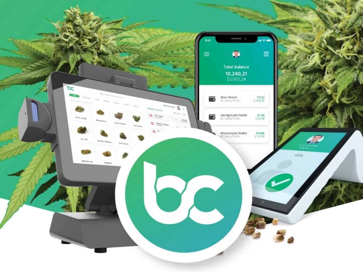 La Moneta Della Cannabis è arrivata: BitCanna la blockchain per la marijuana