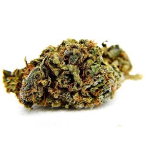 SUGAR BERRY – Carmamilla