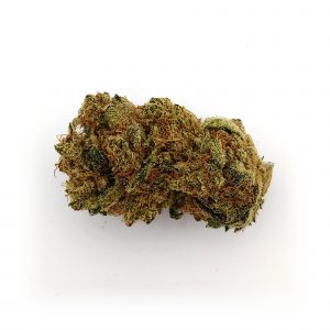 critical-lemon-2-ghost-farm-bear-bush-botanical-collective