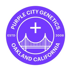 BearBush-Bear-Bush-Botanical-Collective-Purple-City-Genetics-Pre-'98-Bubba-x-Key-Lime-Pie-Fem-1-v2