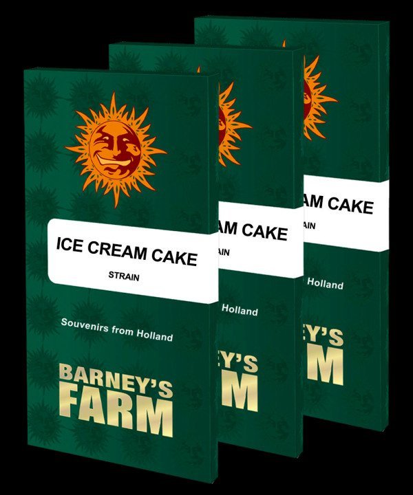 BearBush-Bear-Bush-Botanical-Collective-Barneys-Farm-Ice-Cream-Cake-Fem-13