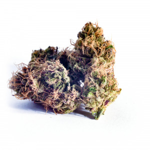 Purple-fruit-ralashlab-bearbush