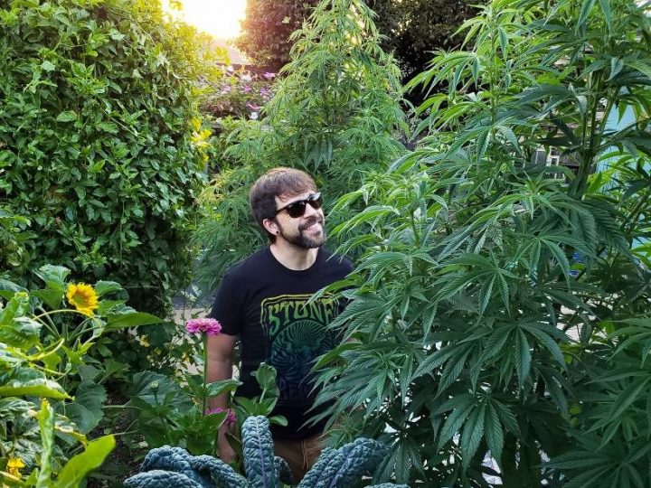 Zuccheri e growing – ottenere il meglio