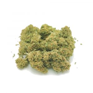 SNICKERZ - Bear Bush Selection