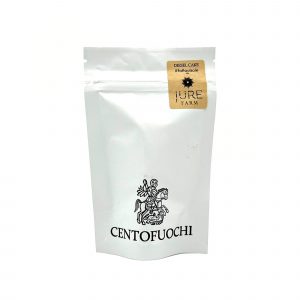 Centofuochi-jure-diesel-cake-bear-bush-botanical-collective-shop-weed-cannabis-grow-hemp-top-quality-new