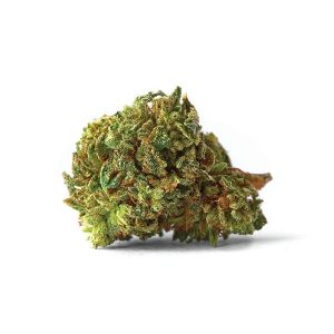 skunk-centofuochi-bear-bush-botanical-collective-1