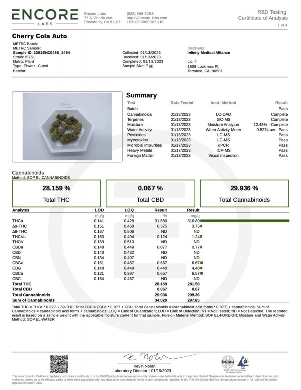 BearBush-Bear-Bush-Botanical-Collective-Fast-Buds-Cherry-Cola-Auto-11-v2