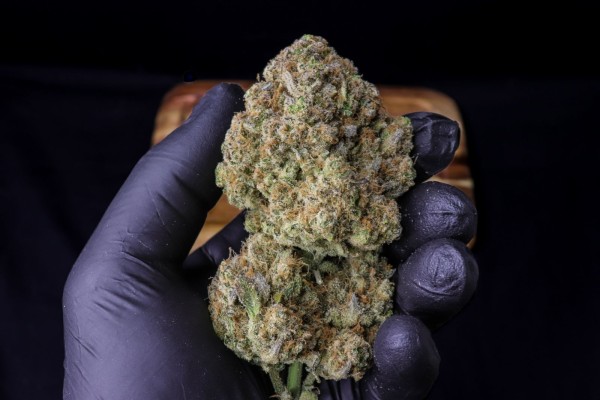 BearBush-Bear-Bush-Botanical-Collective-Fast-Buds-Strawberry-Gorilla-Auto-6-v2