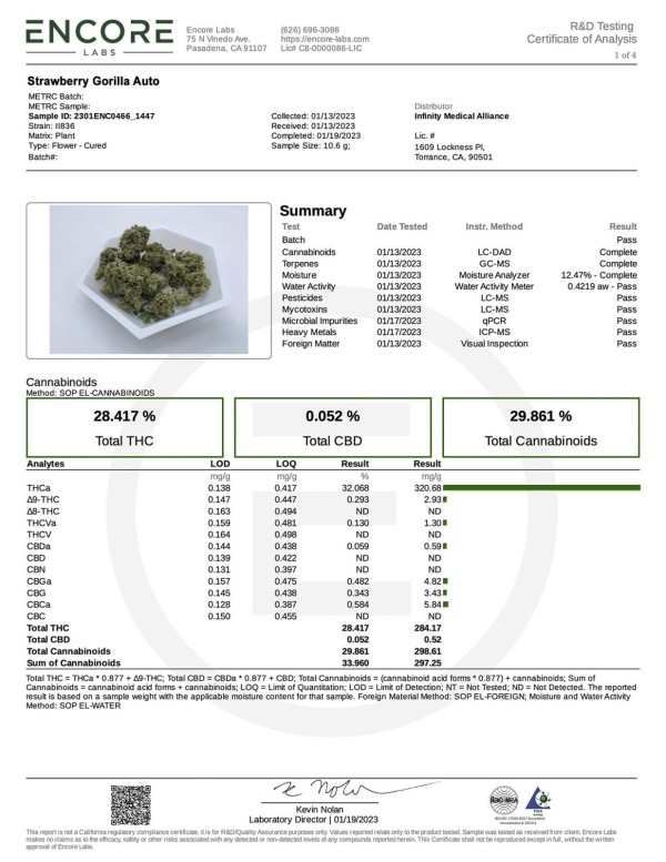 BearBush-Bear-Bush-Botanical-Collective-Fast-Buds-Strawberry-Gorilla-Auto-7-v2