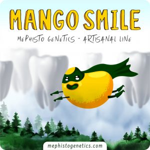 BearBush-Bear-Bush-Botanical-Collective-Mephisto-Genetics-Mango-Smile-Auto-1