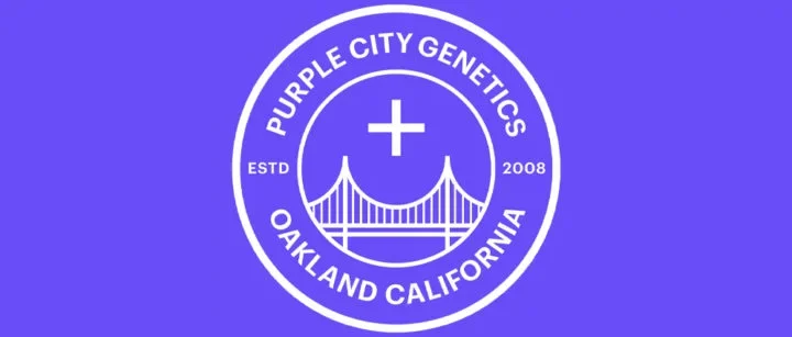 Purple City Genetics – Dagli USA con passione