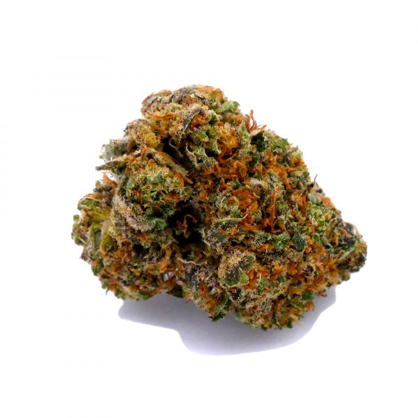 BearBush-Bear-Bush-Botanical-Collective-CBD-Grow-Head-Hemp-Legal-Seed-Smoke-Vapor-Weed-Bear-Bush-Mango-Fire-1