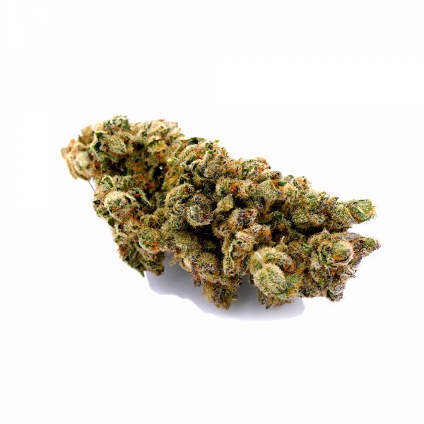 BearBush-Bear-Bush-Botanical-Collective-CBD-Grow-Head-Hemp-Legal-Seed-Smoke-Vapor-Weed-Bear-Bush-NxL-1