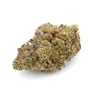 BearBush-Bear-Bush-Botanical-Collective-Canapa-Cannabis-CBD-Erba-Fumo-Grow-Head-Hemp-Legal-Light-Marjuana-Seed-Semi-Smoke-Vapor-Weed-Buds-Cime-Flowers-Fiori-Inflorescences-Infiorescenze-Green-Crack