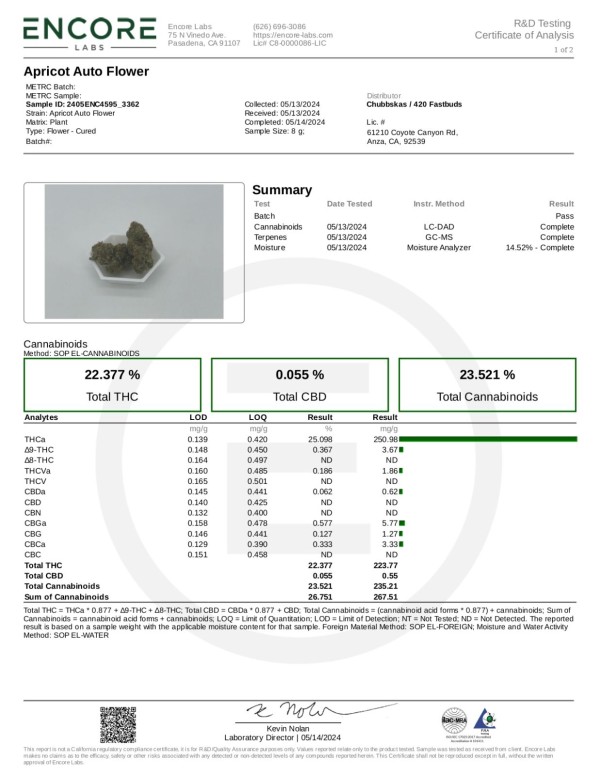 BearBush-Bear-Bush-Botanical-Collective-Fast-Buds-Apricot-Auto-10-v2