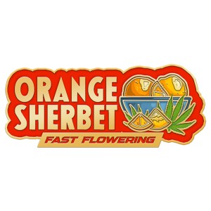 BearBush-Bear-Bush-Botanical-Collective-Fast-Buds-Orange-Sherbet-FF-Fast-Flowering-1-v2