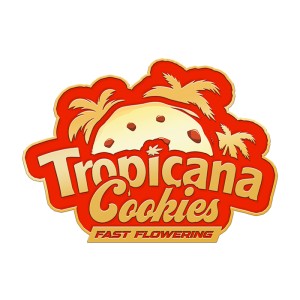 BearBush-Bear-Bush-Botanical-Collective-Fast-Buds-Tropicana-Cookies-FF-Fast-Flowering-1-v2