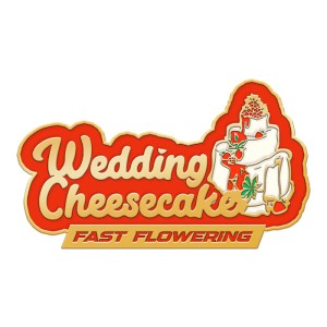 BearBush-Bear-Bush-Botanical-Collective-Fast-Buds-Wedding-Cheesecake-FF-Fast-Flowering-1-v2