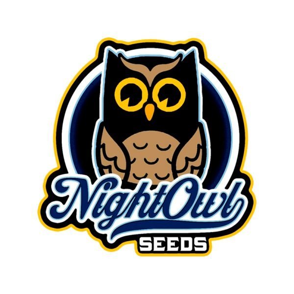 BearBush-Bear-Bush-Botanical-Collective-Night-Owl-Seeds-Outlier-C-Auto-1