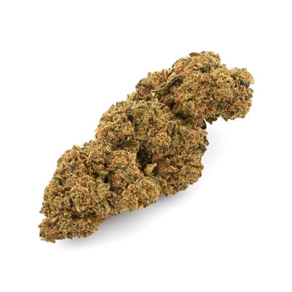 BearBush-Bear-Bush-Botanical-Collective-Canapa-Cannabis-CBD-Erba-Fumo-Grow-Head-Hemp-Legal-Light-Marjuana-Seed-Semi-Smoke-Vapor-Weed-Buds-Cime-Flowers-Fiori-Inflorescences-Infiorescenze-Papaya-Punch