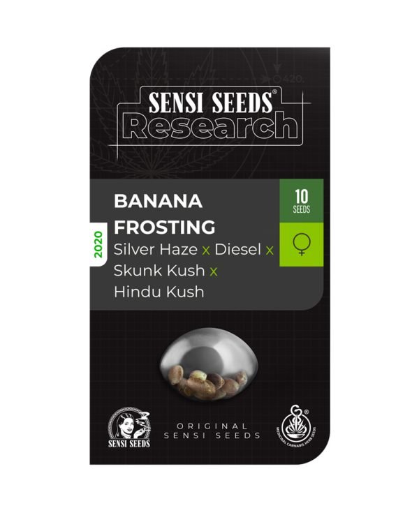 BearBush-Bear-Bush-Botanical-Collective-Sensi-Seeds-Banana-Frosting-Fem-4