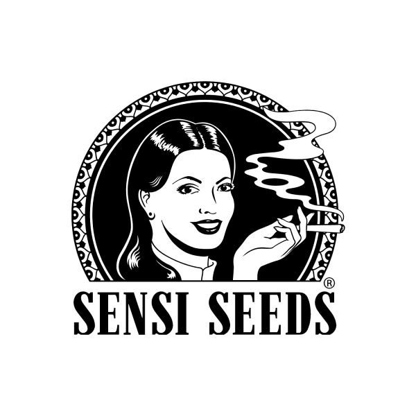 BearBush-Bear-Bush-Botanical-Collective-Sensi-Seeds-Blueberry-Zkittlez-Auto-1