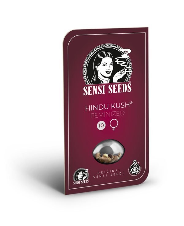 BearBush-Bear-Bush-Botanical-Collective-Sensi-Seeds-Hindu-Kush-Fem-6