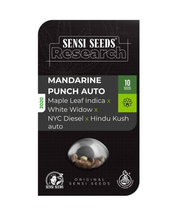 BearBush-Bear-Bush-Botanical-Collective-Sensi-Seeds-Mandarin-Punch-Auto-4