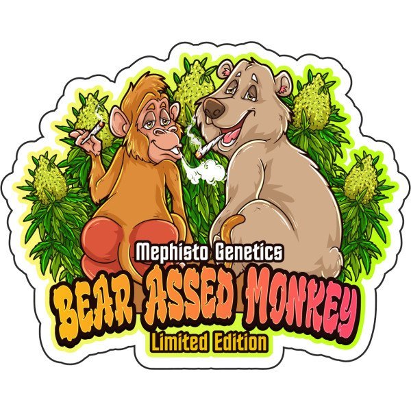 BearBush-Bear-Bush-Botanical-Collective-Mephisto-Genetics-Bear-Assed-Monkey-Auto-1-v2