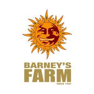 BARNEY'S FARM AUTO