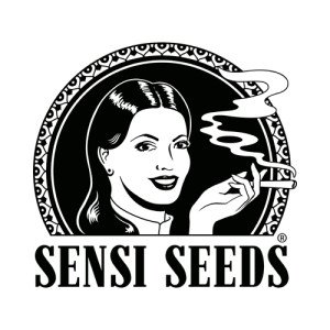 SENSI SEEDS AUTO