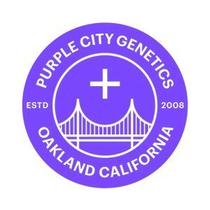 PURPLE CITY GENETICS FEM