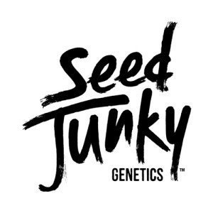 SEED JUNKY GENETICS FEM