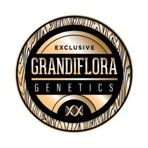 GRANDIFLORA GENETICS REG