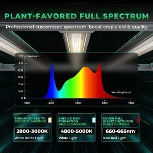 BearBush-Bear-Bush-Botanical-Collective-Mars-Hydro-FC-E-Smart-Detachable-LED-Smart-FC-E-1000W-Detachable-LED-2-v2