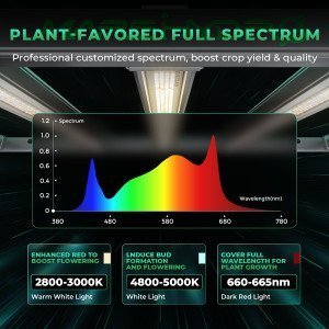 BearBush-Bear-Bush-Botanical-Collective-Mars-Hydro-FC-E-Smart-Detachable-LED-Smart-FC-E-6500-Detachable-LED-2-v2