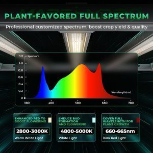 BearBush-Bear-Bush-Botanical-Collective-Mars-Hydro-FC-E-Smart-Detachable-LED-Smart-FC-E-8000-Detachable-LED-2-v2