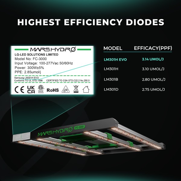 BearBush-Bear-Bush-Botanical-Collective-Mars-Hydro-FC-EVO-Series-Immagini-Generali-New-2024-Highest-Efficiency-Diodes