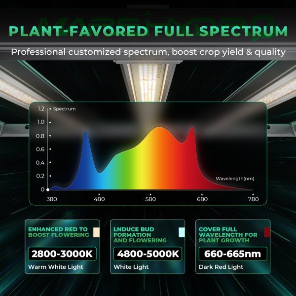 BearBush-Bear-Bush-Botanical-Collective-Mars-Hydro-Full-Grown-Kits-FC-E-3000-Completed-Tent-Kit-Growbox-3-v2