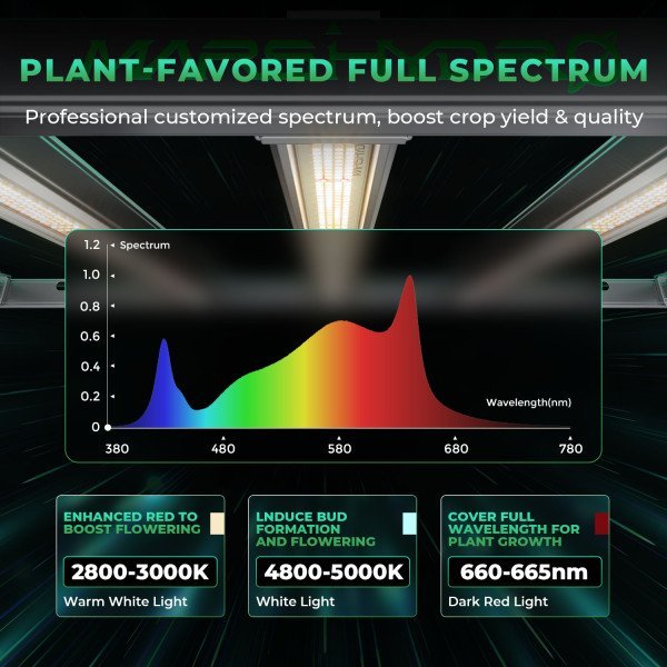 BearBush-Bear-Bush-Botanical-Collective-Mars-Hydro-Full-Grown-Kits-FC-E-4800-Completed-Tent-Kit-Growbox-2-v2