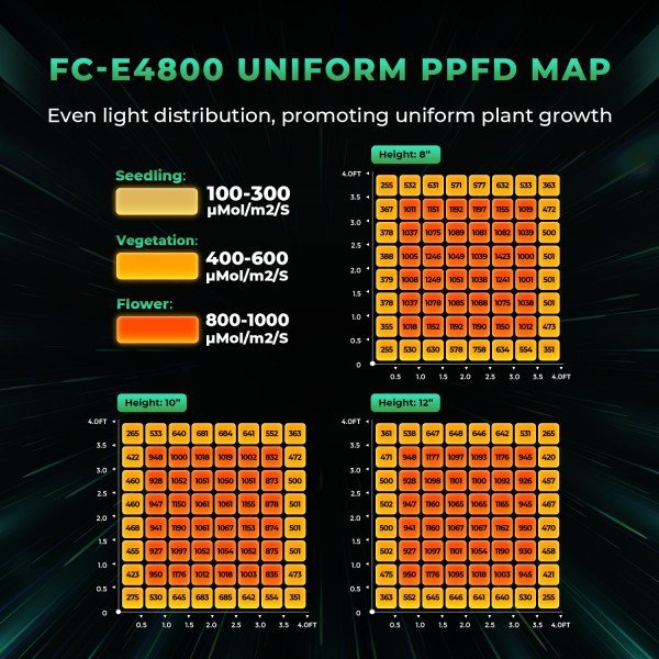 BearBush-Bear-Bush-Botanical-Collective-Mars-Hydro-Full-Grown-Kits-FC-E-4800-Completed-Tent-Kit-Growbox-3-v2