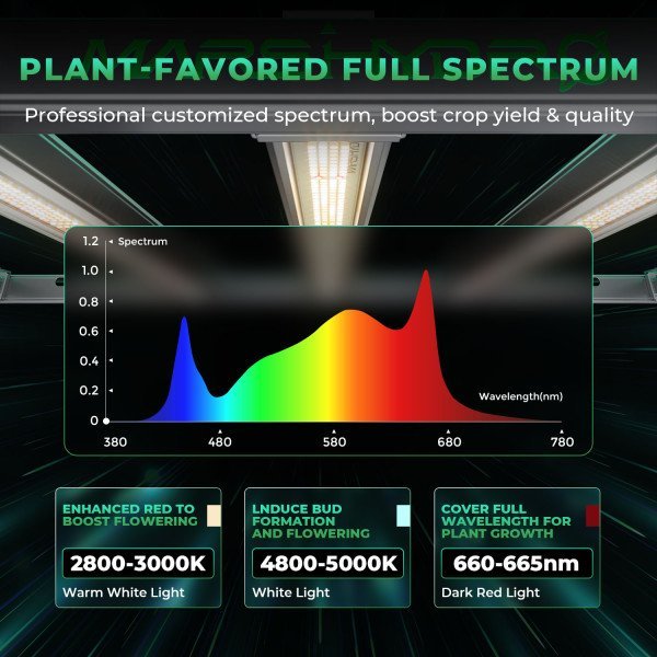 BearBush-Bear-Bush-Botanical-Collective-Mars-Hydro-Full-Grown-Kits-FC-E-6500-Completed-Tent-Kit-Growbox-2-v2