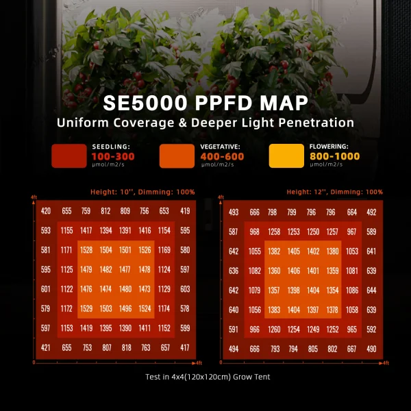 BearBush-Bear-Bush-Botanical-Collective-Spider-Farmer-SE-EVO-Series-SE5000-EVO-LED-New-2024-3