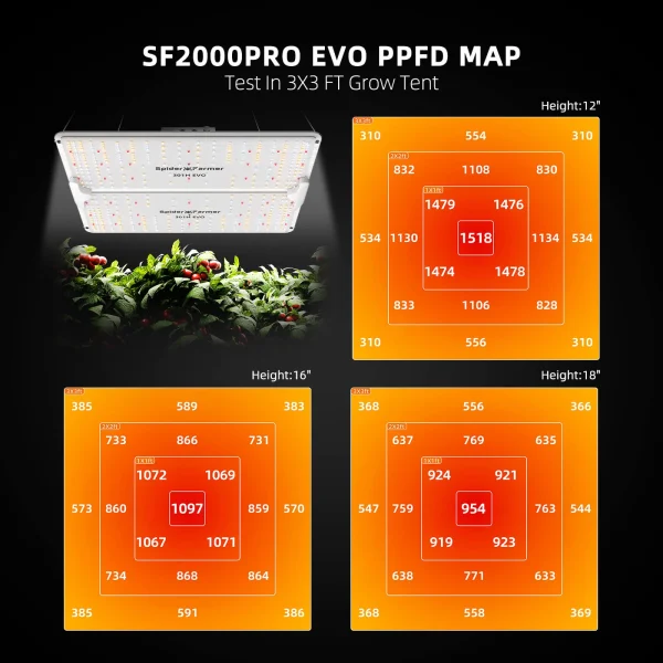 BearBush-Bear-Bush-Botanical-Collective-Spider-Farmer-SF-EVO-Series-SF2000PRO-EVO-LED-New-2025-4
