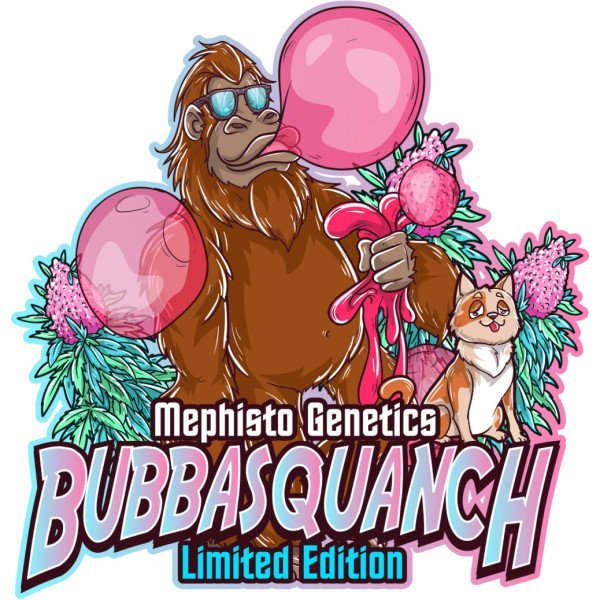 BearBush-Bear-Bush-Botanical-Collective-Mephisto-Genetics-Bubbasquanch-Auto-1