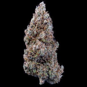 BearBush-Bear-Bush-Botanical-Collective-Mephisto-Genetics-Bubbasquanch-Auto-2