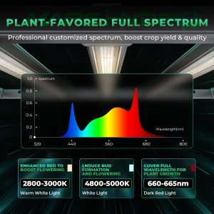 BearBush-Bear-Bush-Botanical-Collective-Mars-Hydro-FC-E-6500-Completed-Tent-Kit-Growbox-iFresh-Fan-New-2024-2