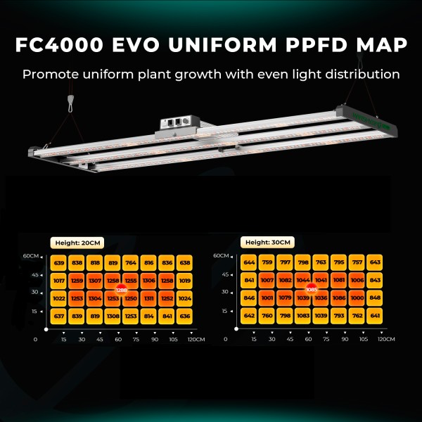 BearBush-Bear-Bush-Botanical-Collective-Mars-Hydro-FC-EVO-Series-FC-4000-EVO-LED-New-2024-4